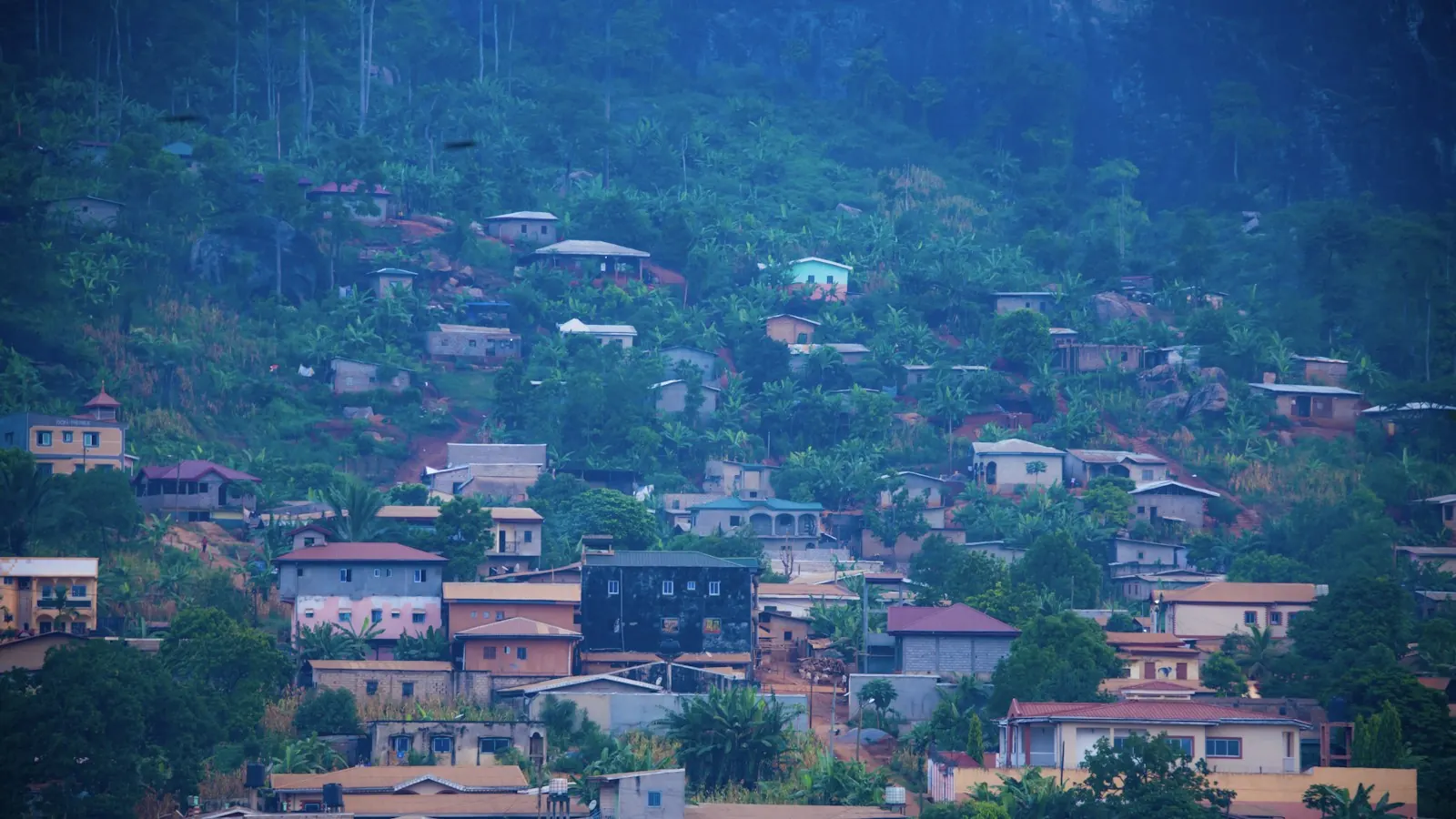 Houses scattered across a green, wooded hillside
